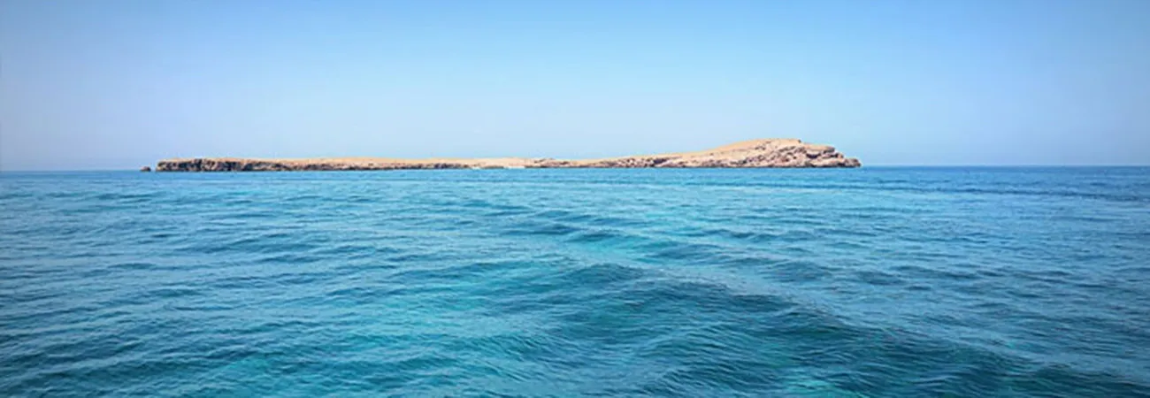 https://d1i3enf1i5tb1f.cloudfront.net/Tour-Images/false-508097/damaniyat-islands-by-catamaran-muscut-oman.jpg
