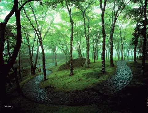 Hakone Museum of Art: Admission Ticket Reservation | Kanagawa, Japan