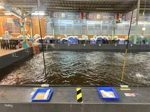 Taipei Indoor Shrimp Fishing Experience | Taiwan