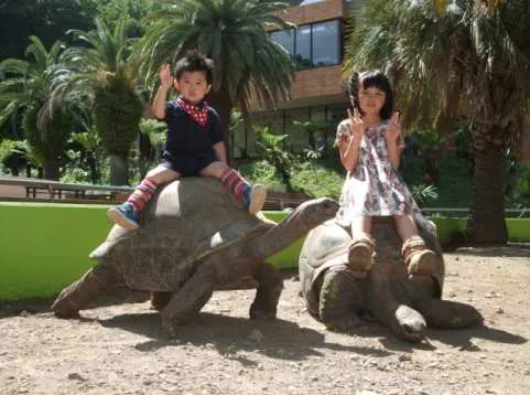 iZoo & KawaZoo Mutual Admission Ticket | Shizuoka, Japan