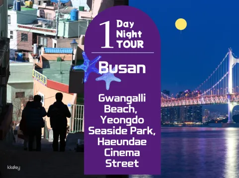 Busan Night Tour: Sanbokdoro Observation Deck, Gwangalli Beach, & Yeongdo Seaside Park | South Korea