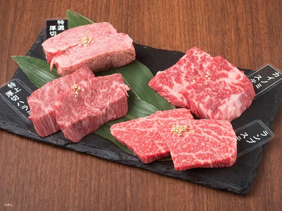 https://image.kkday.com/v2/image/get/w_960,c_fit,q_55,wm_auto/s1.kkday.com/product_166056/20240401070949_tlGyH/jpg