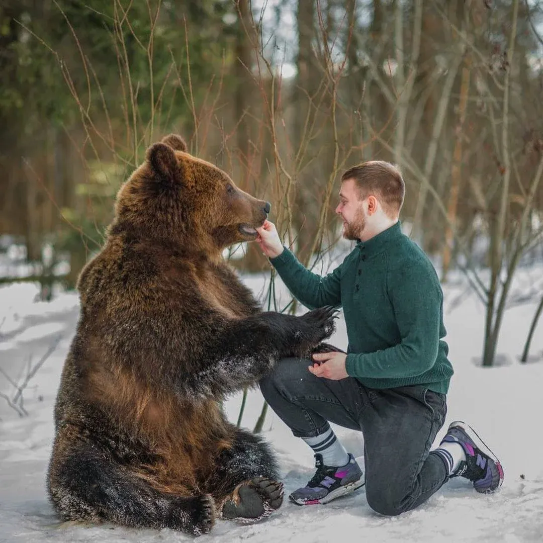 PhotoShoot With bear- Moscow