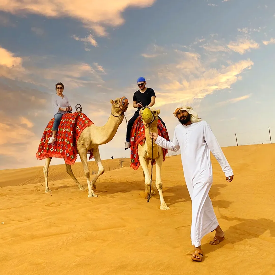 Camel Desert Safari The Bedouin Experience